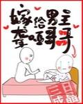 �޸���������