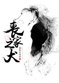 ɥ��֮Ȯ��������